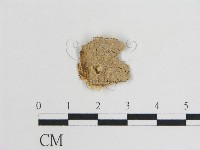 登錄號:F0009884藏品圖，第1張