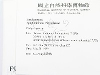 登錄號:F0009885藏品圖，第2張