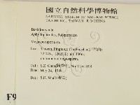 登錄號:F0009886藏品圖，第2張