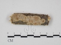 登錄號:F0009886藏品圖，第1張