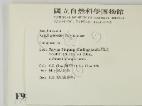 登錄號:F0009887藏品圖，第2張