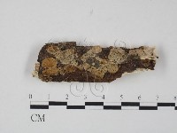 登錄號:F0009887藏品圖，第1張