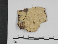 登錄號:F0009888藏品圖，第1張