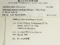 燈籠囊擬射脈菌藏品圖，第2張