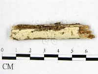 登錄號:F0009890藏品圖，第1張