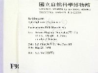 登錄號:F0009891藏品圖，第2張