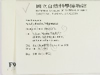 登錄號:F0009894藏品圖，第2張