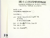 木耳屬藏品圖，第2張