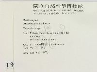 刺皮菌屬藏品圖，第2張