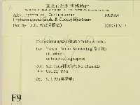 登錄號:F0009897藏品圖，第2張