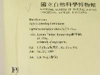 登錄號:F0009898藏品圖，第2張