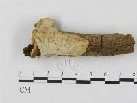 登錄號:F0009898藏品圖，第1張