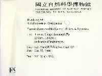 登錄號:F0009900藏品圖，第2張