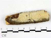 登錄號:F0009900藏品圖，第1張