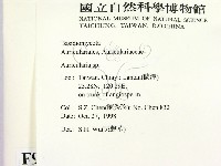 木耳屬藏品圖，第2張