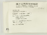 冇骨消絲齒菌藏品圖，第2張