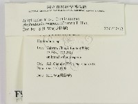 登錄號:F0009905藏品圖，第2張