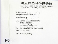 顯絲菌屬藏品圖，第2張