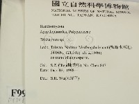 附毛菌屬藏品圖，第2張