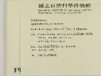 登錄號:F0009909藏品圖，第2張