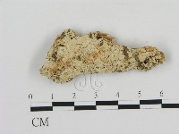 登錄號:F0009909藏品圖，第1張