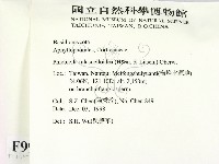 登錄號:F0009910藏品圖，第2張