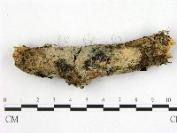 登錄號:F0009910藏品圖，第1張