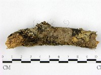 登錄號:F0009910藏品圖，第3張