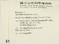 登錄號:F0009911藏品圖，第2張