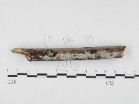 登錄號:F0009912藏品圖，第1張