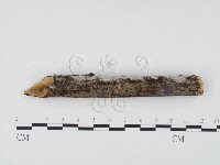 登錄號:F0009912藏品圖，第3張