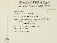 登錄號:F0009914藏品圖，第2張