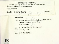 登錄號:F0009916藏品圖，第2張