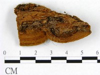 登錄號:F0009916藏品圖，第3張