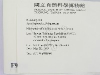 相鄰小孔菌藏品圖，第2張