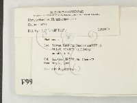 登錄號:F0009921藏品圖，第2張