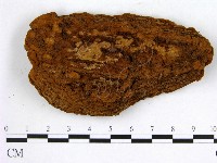 登錄號:F0009921藏品圖，第3張