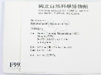 集毛菌屬藏品圖，第2張