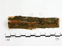 登錄號:F0009924藏品圖，第1張