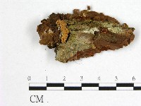 登錄號:F0009925藏品圖，第3張