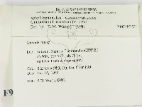 登錄號:F0009926藏品圖，第2張