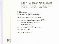 登錄號:F0009927藏品圖，第2張