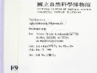 多年臥孔菌屬藏品圖，第2張