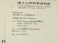 棕色革菌藏品圖，第2張