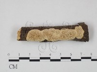 登錄號:F0009930藏品圖，第1張