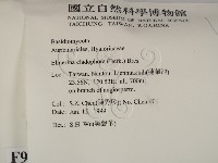 登錄號:F0009931藏品圖，第2張