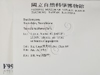 登錄號:F0009933藏品圖，第2張