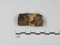 登錄號:F0009933藏品圖，第1張