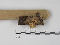 登錄號:F0009933藏品圖，第3張