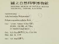登錄號:F0009934藏品圖，第2張
